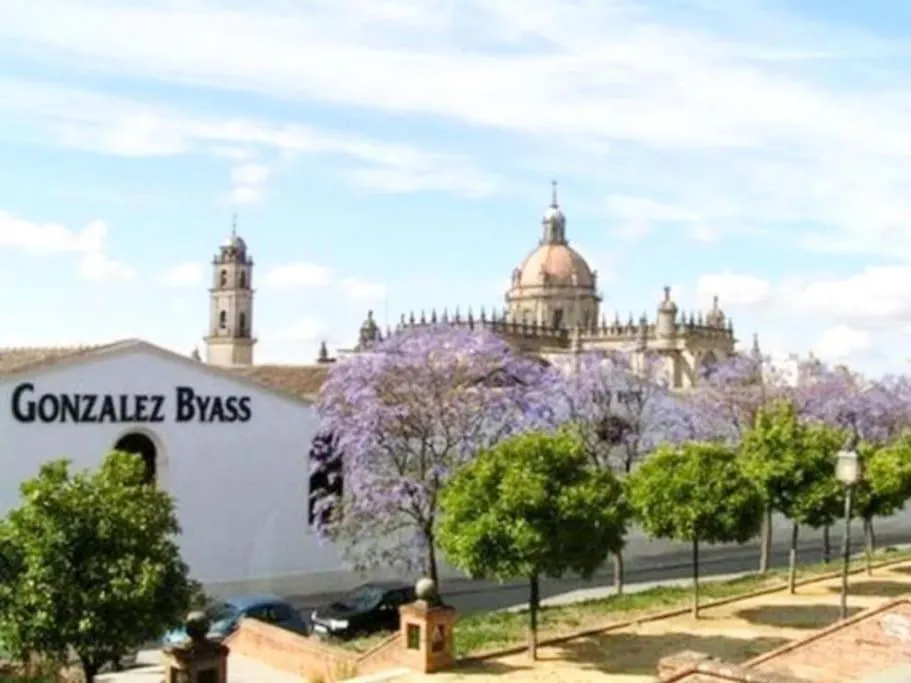 Apartamento Apartamento Loft Jerez Buleria Jerez de la Frontera